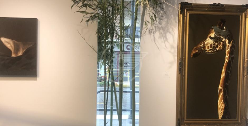 Alla Galleria Zamagni grande chiusura di stagione Alla Galleria Zamagni grande chiusura di stagione