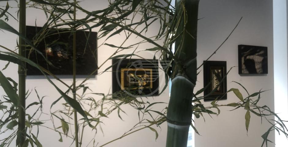 Alla Galleria Zamagni grande chiusura di stagione Alla Galleria Zamagni grande chiusura di stagione