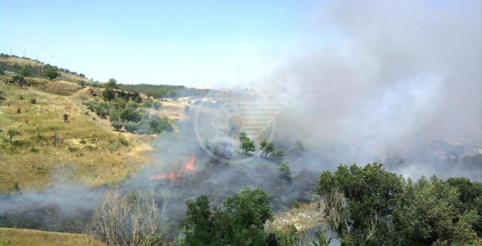 Campagne invase da fumi nauseabondi e roghi abusivi Campagne invase da fumi nauseabondi e roghi abusivi
