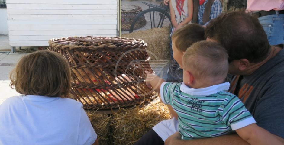 Alla Fiera di S. Michele una domenica speciale Alla Fiera di S. Michele una domenica speciale