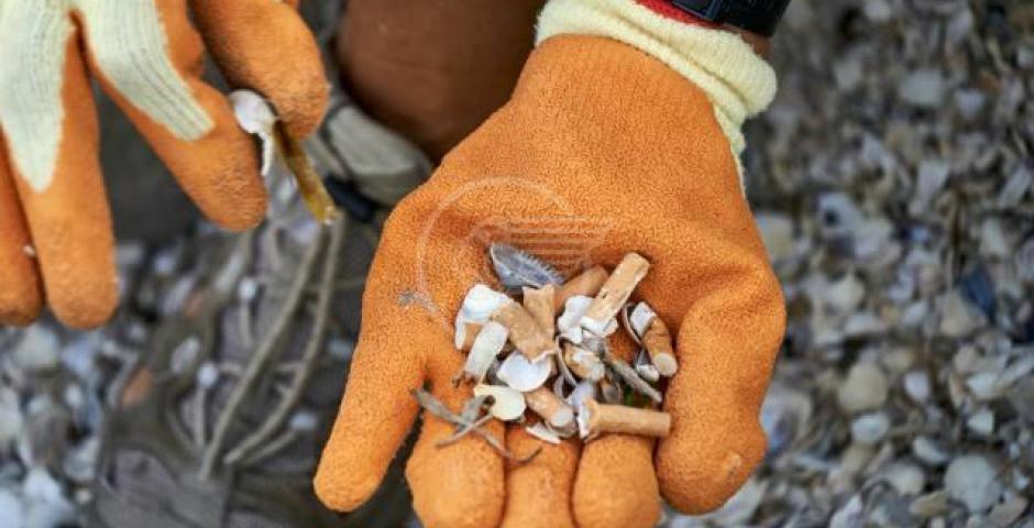 Spiaggia libera ripulita: missione compiuta Spiaggia libera ripulita: missione compiuta
