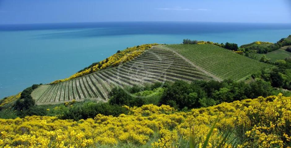 Panoramica del S. Bartolo chiusa la domenica: Tosi e Righetti felici Panoramica del S. Bartolo chiusa la domenica: Tosi e Righetti felici