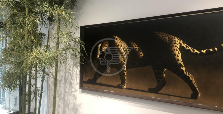 Alla Galleria Zamagni grande chiusura di stagione Alla Galleria Zamagni grande chiusura di stagione