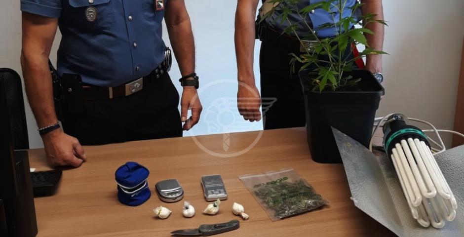 Arrestato con la cocaina, subito in libertà Arrestato con la cocaina, subito in libertà