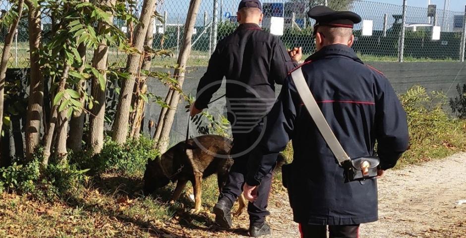 Parchi al setaccio, scovati bivacchi e abusivi Parchi al setaccio, scovati bivacchi e abusivi