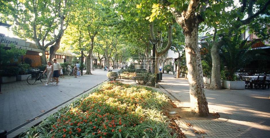 Confesercenti lancia l'allarme sull'Isola dei Platani Confesercenti lancia l'allarme sull'Isola dei Platani