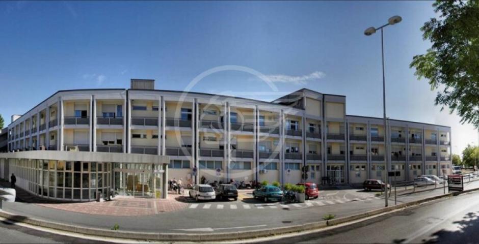 Spinelli: "Complimenti al Franchini e a Samorani" Spinelli: "Complimenti al Franchini e a Samorani"