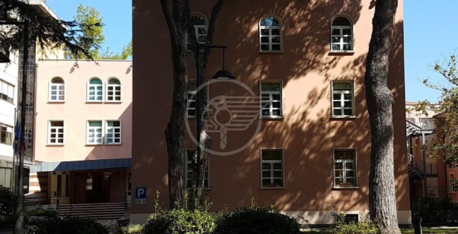 Videoconferenza con i capigruppo, la Tosi ringrazia tutti Videoconferenza con i capigruppo, la Tosi ringrazia tutti