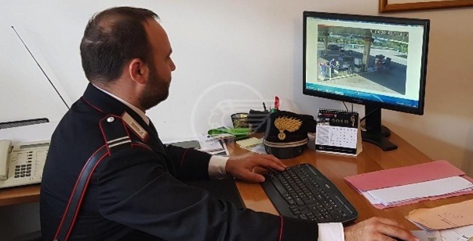 Si beccano la denuncia per aver rubato pochi ceppi di legname Si beccano la denuncia per aver rubato pochi ceppi di legname