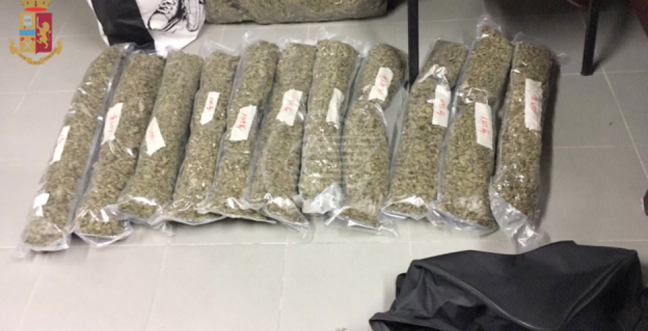 Trenta chili di marijuana, 21enne arrestato a San Giuliano Trenta chili di marijuana, 21enne arrestato a San Giuliano