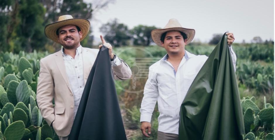 VOGLIO UN PAIO DI SCARPE DI PELLE DI CACTUS  VOGLIO UN PAIO DI SCARPE DI PELLE DI CACTUS