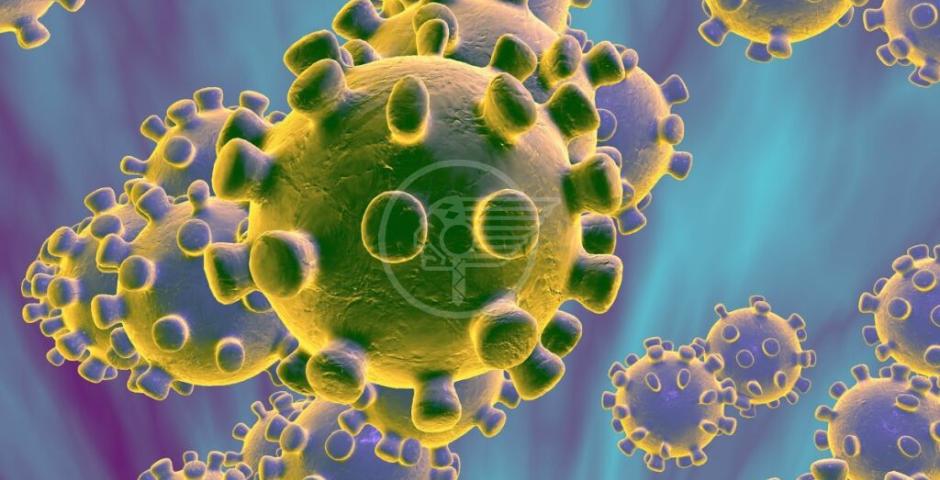 Coronavirus, scende la curva dei contagi: sono 121, si registrano anche 3 decessi Coronavirus, scende la curva dei contagi: sono 121, si registrano anche 3 decessi