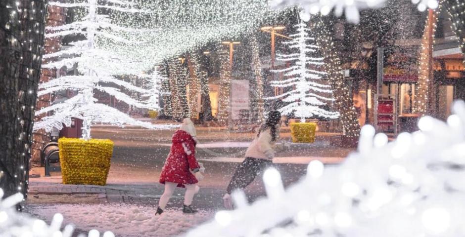Si accende sabato 5 il fantastico Riccione Christmas Star Si accende sabato 5 il fantastico Riccione Christmas Star
