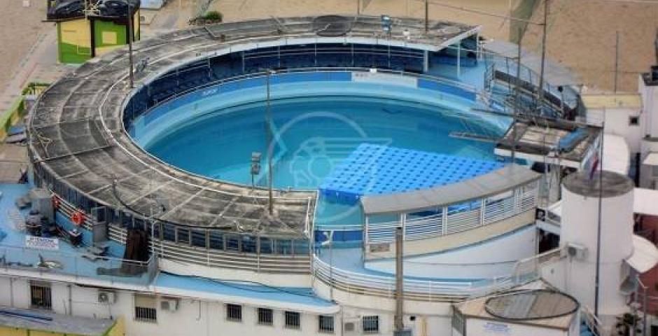 Fondazione Cetacea trova posto nell'ex Delfinario di Rimini Fondazione Cetacea trova posto nell'ex Delfinario di Rimini