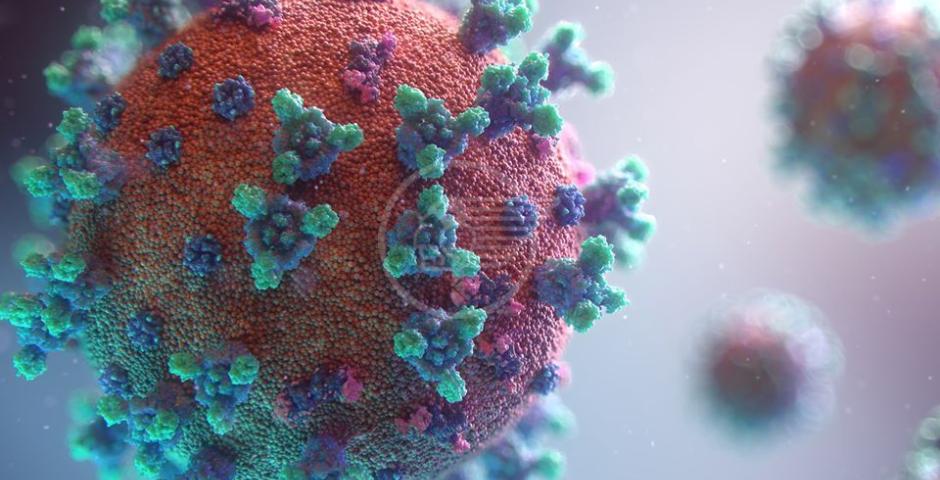 Impennata di nuovi positivi (222), sono 4 i decessi nelle ultime 24 ore Impennata di nuovi positivi (222), sono 4 i decessi nelle ultime 24 ore