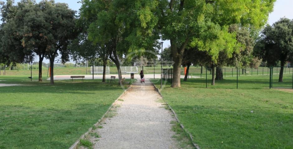 Bastonate e palpeggiamenti al parco: scoppia la rissa, fermati tre giovani nordafricani Bastonate e palpeggiamenti al parco: scoppia la rissa, fermati tre giovani nordafricani