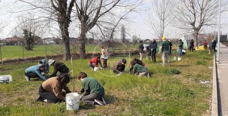 A Viserba Bcc e Legambiente piantano un nuovo bosco A Viserba Bcc e Legambiente piantano un nuovo bosco