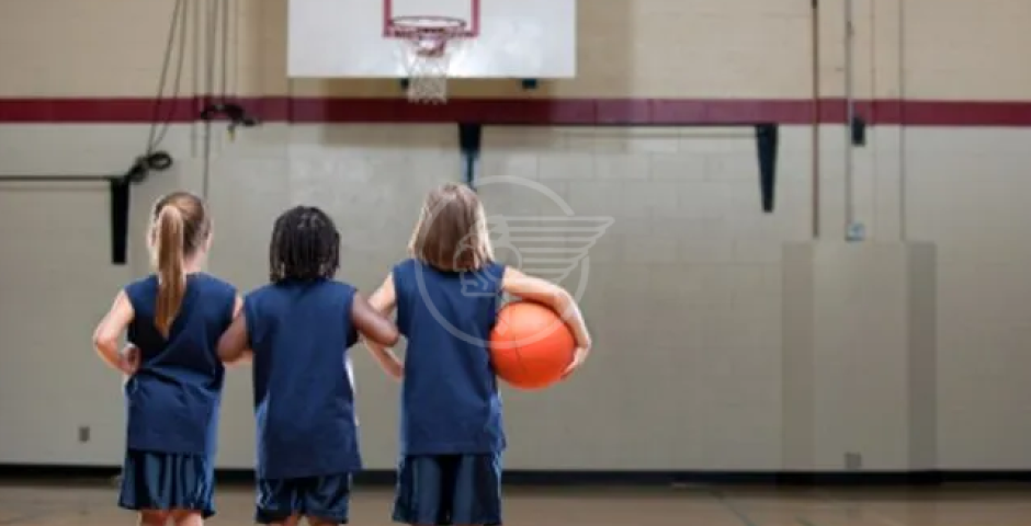 Ricominciano i corsi della FIP per gli aspiranti Istruttori Minibasket Ricominciano i corsi della FIP per gli aspiranti Istruttori Minibasket