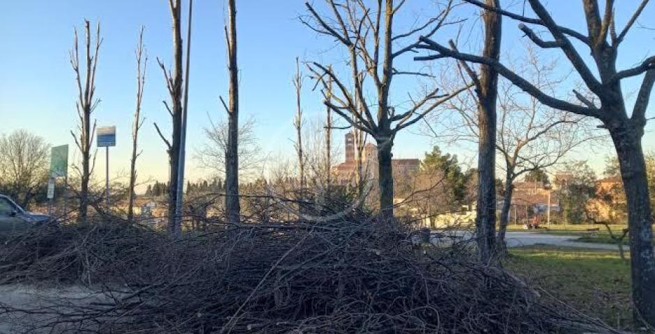 Via libera a interventi di pubblica utilità nel Comune di Coriano Via libera a interventi di pubblica utilità nel Comune di Coriano