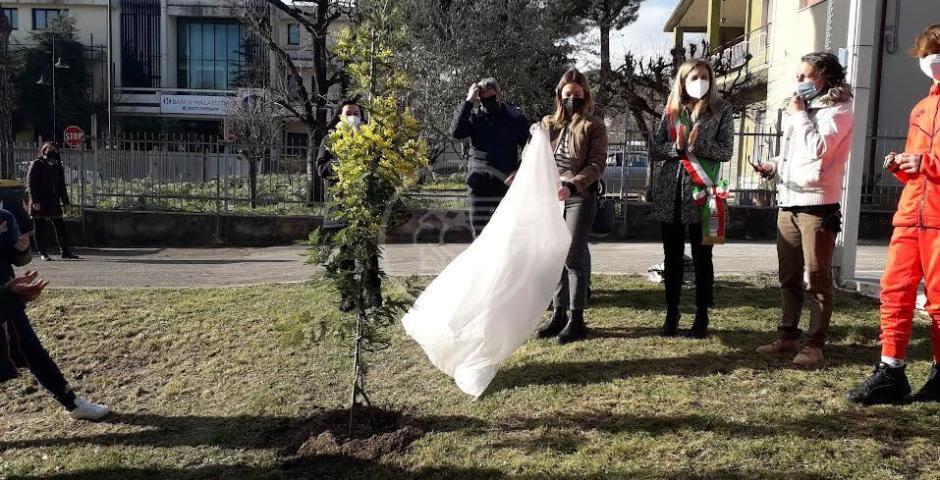 Mimose e studenti per celebrare la giornata dedicata alla donna Mimose e studenti per celebrare la giornata dedicata alla donna