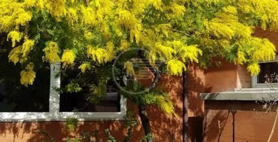 Cerimonie alle scuole medie di Coriano e Ospedaletto e due panchine per le donne Cerimonie alle scuole medie di Coriano e Ospedaletto e due panchine per le donne