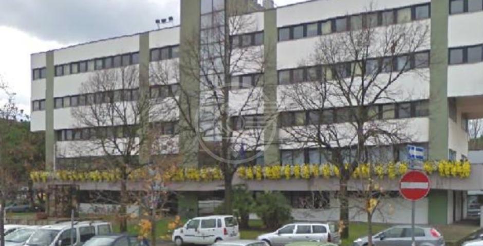 Rinnovo tessere: apertura straordinaria per l’ufficio elettorale  Rinnovo tessere: apertura straordinaria per l’ufficio elettorale
