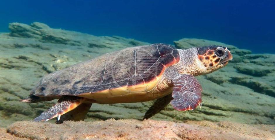 Due giorni di visite e passeggiate guidate alla scoperta delle tradizioni marinare Due giorni di visite e passeggiate guidate alla scoperta delle tradizioni marinare
