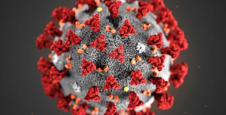 Resiste lo zero nella casella dei decessi: ultime 24 ore senza vittime nel Riminese Resiste lo zero nella casella dei decessi: ultime 24 ore senza vittime nel Riminese