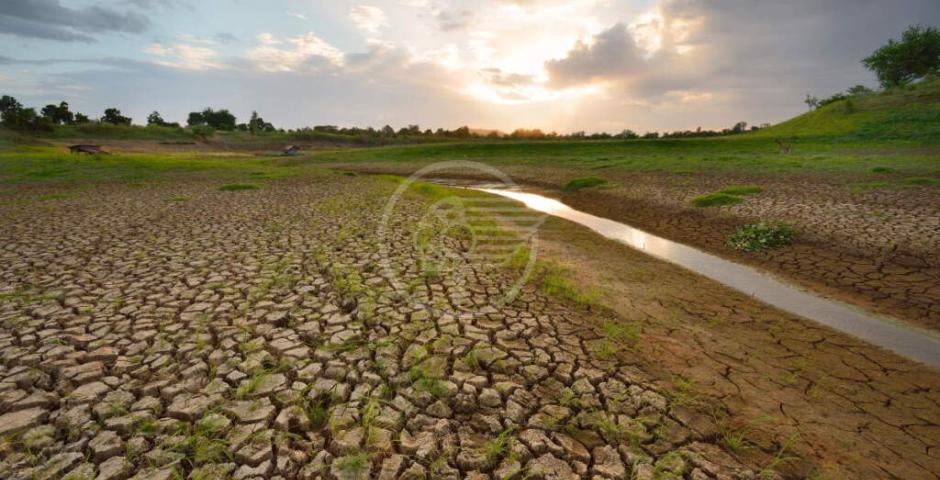 Appello del San Marino Green Festival: "Grave siccità. Diamo acqua agli animali selvatici" Appello del San Marino Green Festival: "Grave siccità. Diamo acqua agli animali selvatici"
