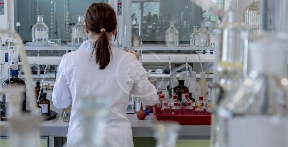 Nel Riminese ultime 24 ore senza decessi, 5 invece in tutta la regione Nel Riminese ultime 24 ore senza decessi, 5 invece in tutta la regione