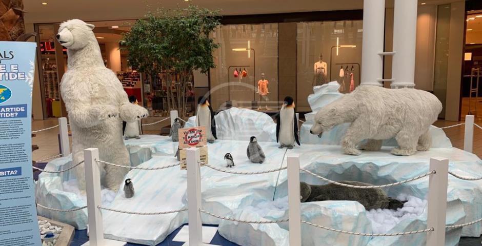 A Le Befane "Animals. Conoscere gli animali rispettandoli" mostra ludico-didattica patrocinata dal WWF  A Le Befane "Animals. Conoscere gli animali rispettandoli" mostra ludico-didattica patrocinata dal WWF