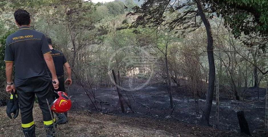 Rischio incendi: scatta l’allerta arancione dal 2 luglio al 28 agosto Rischio incendi: scatta l’allerta arancione dal 2 luglio al 28 agosto