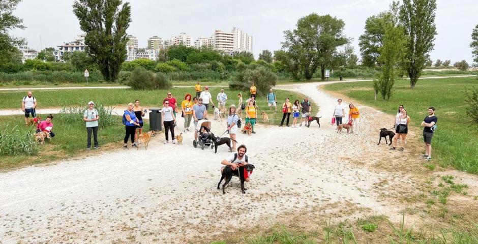 Cattolica, “passeggiata a 4 zampe “ Cattolica, “passeggiata a 4 zampe “