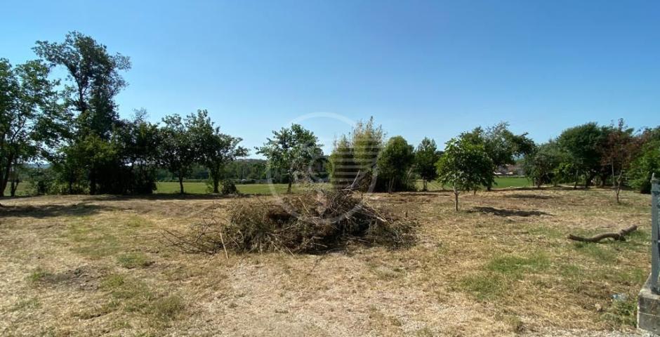 Bonificata un'area pubblica in località Belvedere: diventerà parco fruibile ai cittadini Bonificata un'area pubblica in località Belvedere: diventerà parco fruibile ai cittadini