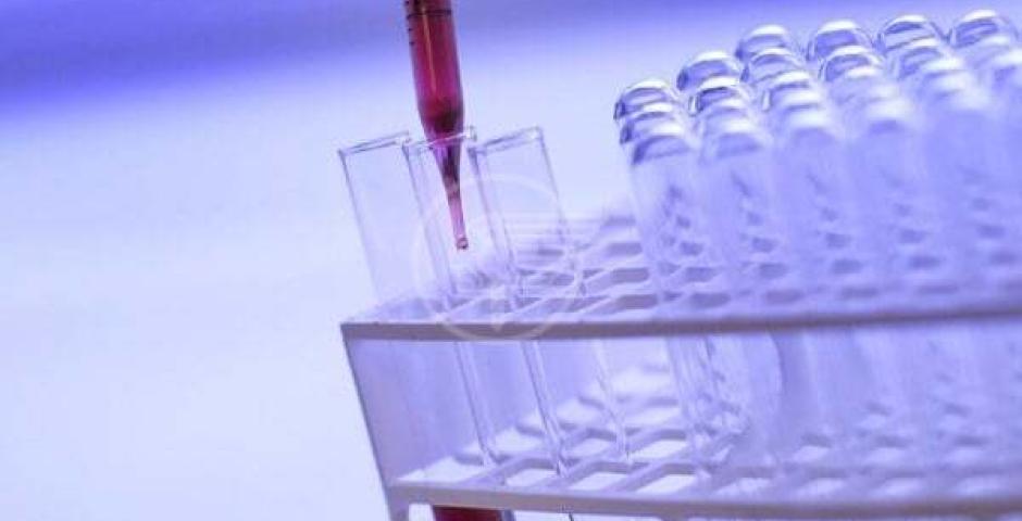 Un'altra giornata senza decessi nel Riminese, 8 in tutta la regione Un'altra giornata senza decessi nel Riminese, 8 in tutta la regione