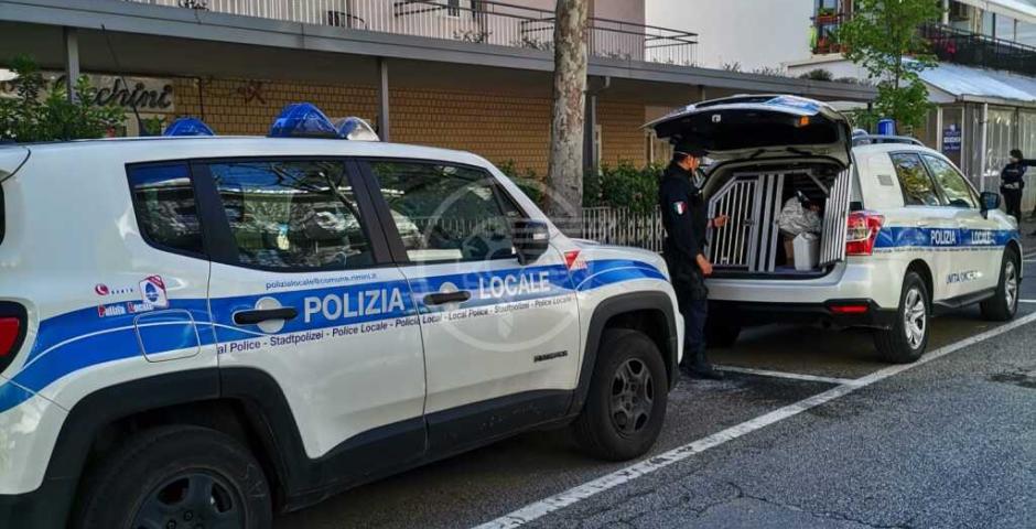Occupazione abusiva di un hotel in viale Regina Elena: l’intervento della Polizia Locale  Occupazione abusiva di un hotel in viale Regina Elena: l’intervento della Polizia Locale