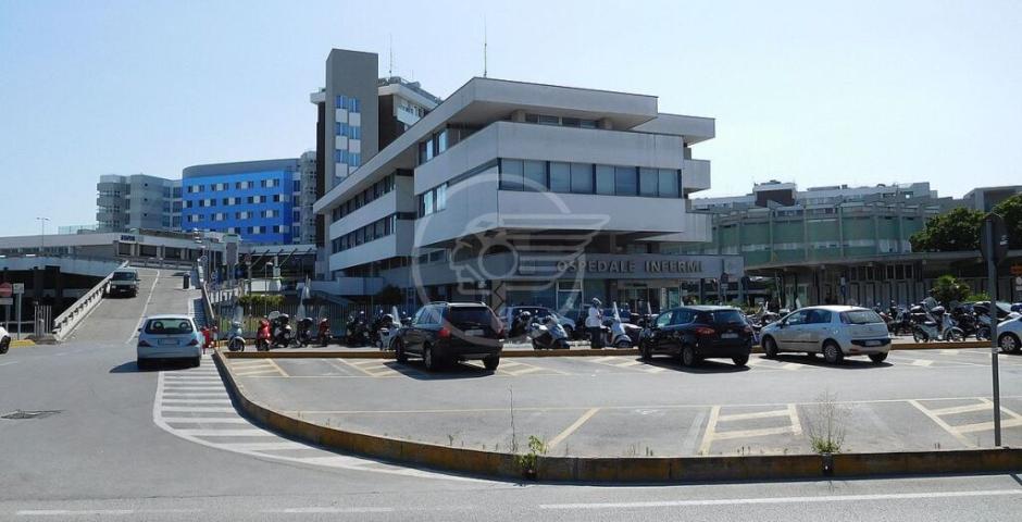 Crea scompiglio prima in un locale e poi anche in ospedale: arrestata dalla Polizia di Stato Crea scompiglio prima in un locale e poi anche in ospedale: arrestata dalla Polizia di Stato