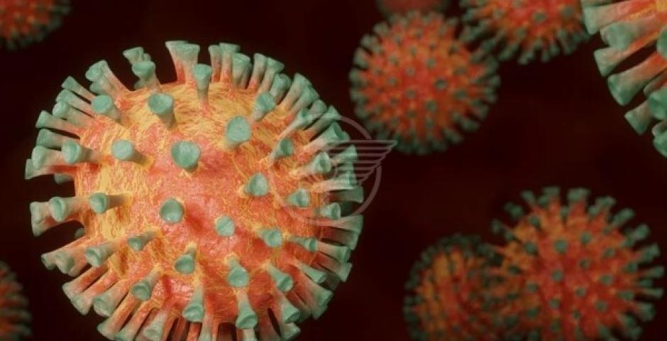 Bollettino Covid: nel Riminese sono passate altre 24 ore senza decessi Bollettino Covid: nel Riminese sono passate altre 24 ore senza decessi