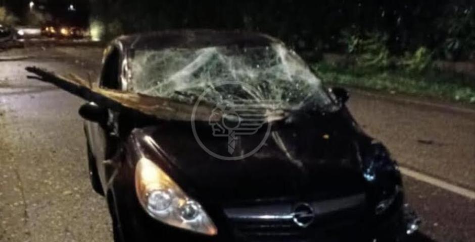 Grosso ramo centra un'auto in movimento in via Tortona. Raffiche di vento: tutti gli interventi di Geat Grosso ramo centra un'auto in movimento in via Tortona. Raffiche di vento: tutti gli interventi di Geat