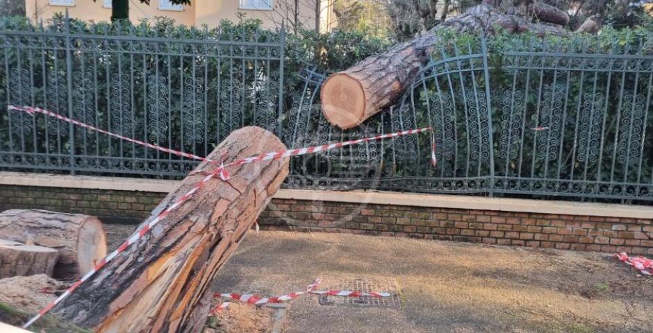 Tutti al lavoro per mettere in sicurezza e ripristinare il decoro cittadino dopo l’ondata di maltempo Tutti al lavoro per mettere in sicurezza e ripristinare il decoro cittadino dopo l’ondata di maltempo