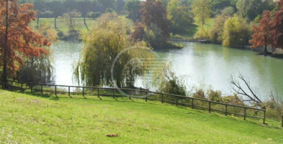 Giornata ecologica’ al Parco “Giovanni Paolo II” (già "Parco La Cava”) Giornata ecologica’ al Parco “Giovanni Paolo II” (già "Parco La Cava”)