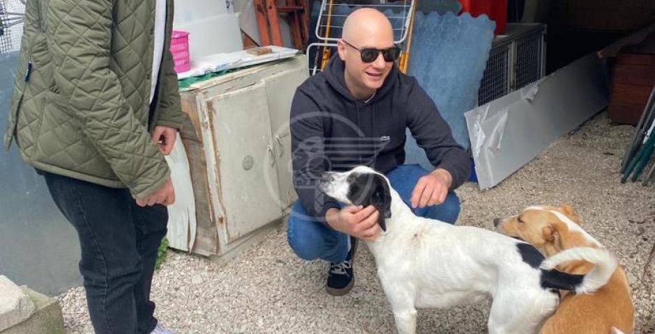 Da Cattolica Futura i gettoni di presenza del Consiglio e delle Commissioni al Canile Comunale di Gradara Da Cattolica Futura i gettoni di presenza del Consiglio e delle Commissioni al Canile Comunale di Gradara