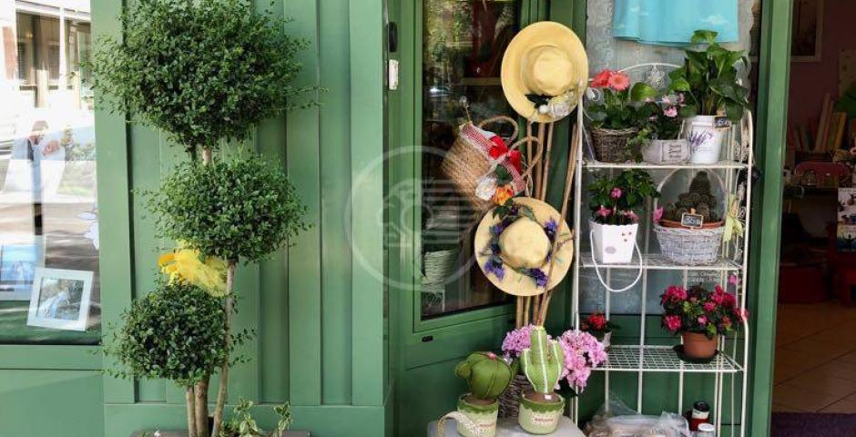 Cattolica in Fiore 2023 alla ricerca della più bella "vetrina fiorita" e del miglior "menù in fiore" Cattolica in Fiore 2023 alla ricerca della più bella "vetrina fiorita" e del miglior "menù in fiore"