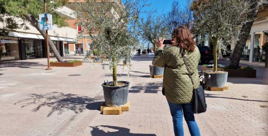 Allestimenti botanici di viale Ceccarini e nuovo arredo urbano per i Giardini dell’Alba: al via oggi i lavori Allestimenti botanici di viale Ceccarini e nuovo arredo urbano per i Giardini dell’Alba: al via oggi i lavori