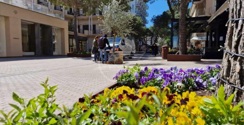 Allestimenti botanici di viale Ceccarini e nuovo arredo urbano per i Giardini dell’Alba: al via oggi i lavori Allestimenti botanici di viale Ceccarini e nuovo arredo urbano per i Giardini dell’Alba: al via oggi i lavori