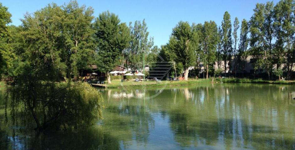 Laghi Arcobaleno: un bando pubblico per assegnare la gestione per i prossimi quattro anni Laghi Arcobaleno: un bando pubblico per assegnare la gestione per i prossimi quattro anni