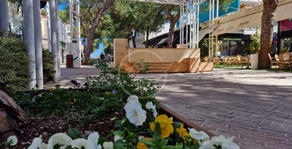 Allestimenti botanici di viale Ceccarini e nuovo arredo urbano per i Giardini dell’Alba: al via oggi i lavori Allestimenti botanici di viale Ceccarini e nuovo arredo urbano per i Giardini dell’Alba: al via oggi i lavori