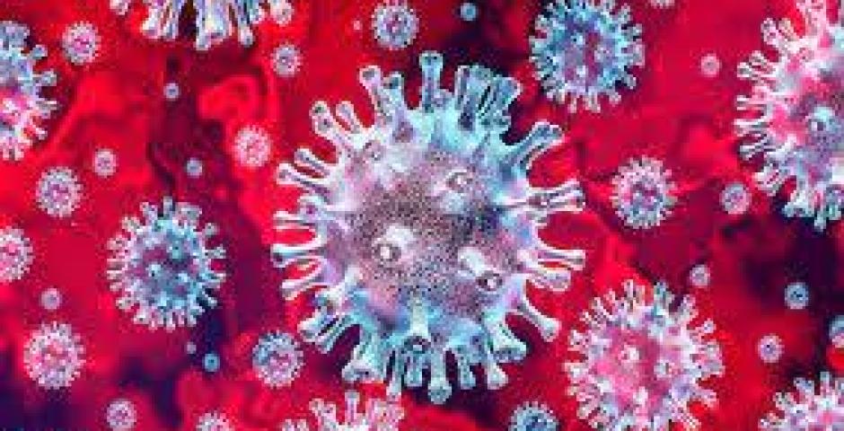 Coronavirus: questa settimana contagi risaliti sensibilmente in Regione Coronavirus: questa settimana contagi risaliti sensibilmente in Regione