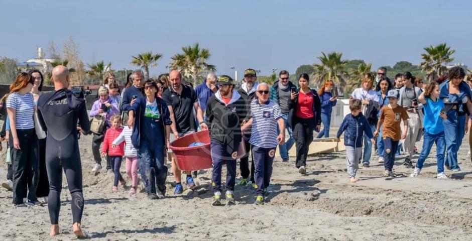 Le prime due tartarughe del 2023 rilasciate in mare da Fondazione Cetacea Le prime due tartarughe del 2023 rilasciate in mare da Fondazione Cetacea