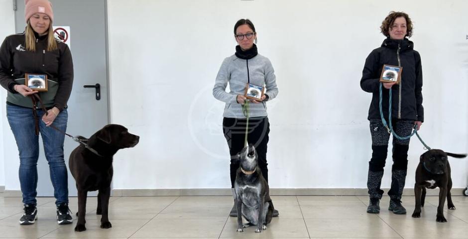 Il Centro cinofilo Sguinzagliamoci porta con successo al debutto le competizioni di NoseworkScent Detection in Romagna Il Centro cinofilo Sguinzagliamoci porta con successo al debutto le competizioni di NoseworkScent Detection in Romagna